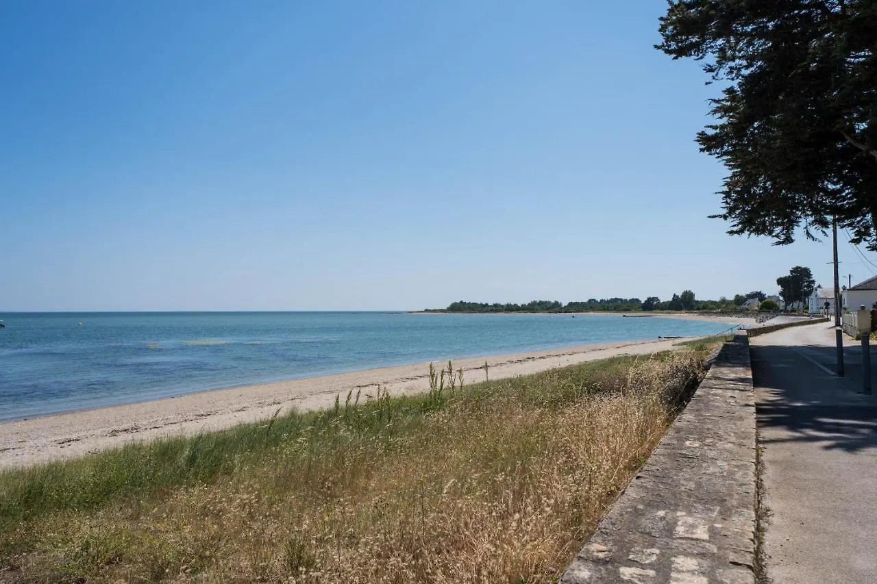 Banana Beach - Magnifique Villa Contemporaine Vue Mer Plage A 20 M Avec Paddles Sarzeau France